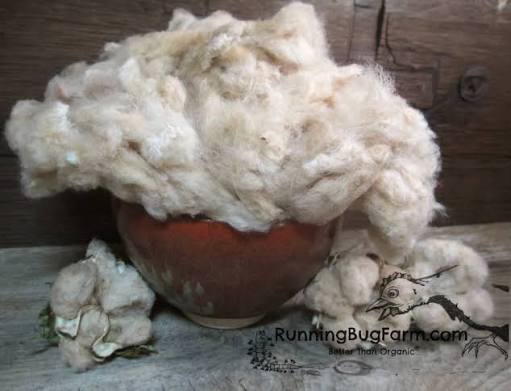 Ginned Raw Cotton Lint – Upland Cotton, Grade 3128B