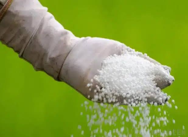 Urea Fertilizer (46% N Prilled)