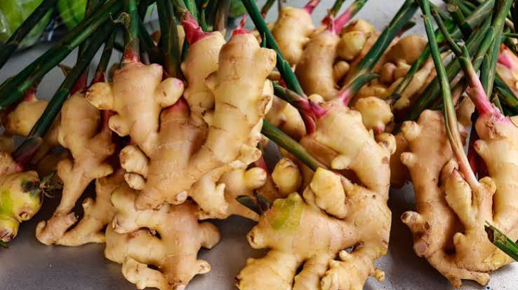 Whole Ginger (Spice / Raw Ginger Rhizome)