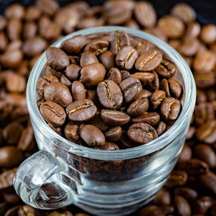 Arabica Coffee Bean