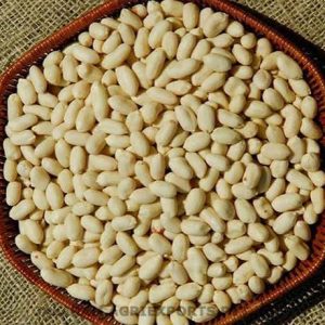 Blanched Peanut Kernels – Grade 38/42