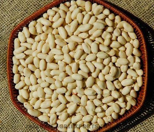 Blanched Peanut Kernels