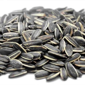 Confectionery Sunflower Seeds, Large Size, Machine Cleaned