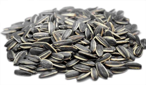 Confectionery Sunflower Seeds