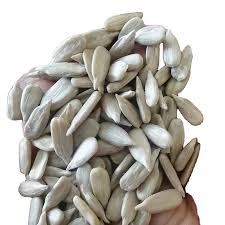 Confectionery Sunflower Seeds, Large Size, Machine Cleaned