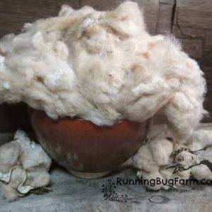 Ginned Raw Cotton Lint – Upland Cotton, Grade 3128B