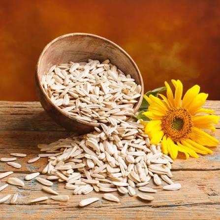 Raw Bulk Sunflower Seeds