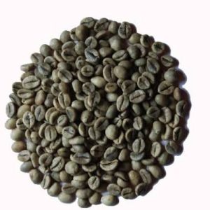 Robusta Green Coffee Beans – Grade 1, Screen 18, Wet Polished - Image 2