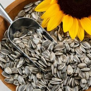 Sunflower Seeds - Image 3