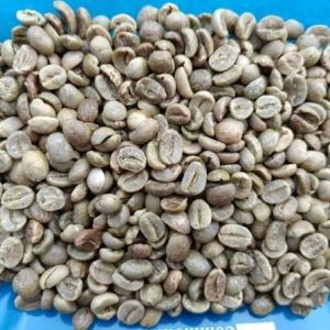 Unwashed Robusta Coffee Beans, Grade 1, Screen 18, Wet Polished - Image 2