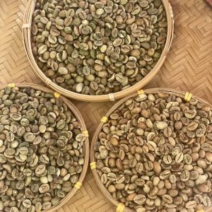 Unwashed Robusta Coffee Beans, Grade 1, Screen 18, Wet Polished