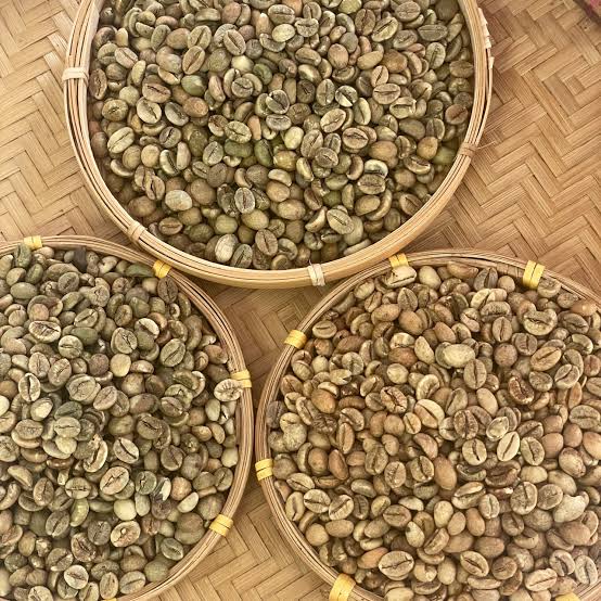 Unwashed Robusta Coffee Beans2