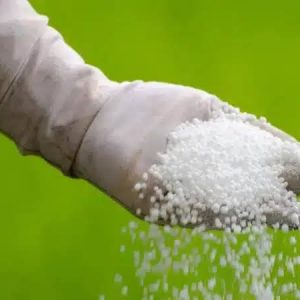 Urea Fertilizer (46% N Prilled)