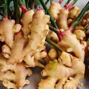 Whole Ginger (Spice / Raw Ginger Rhizome)