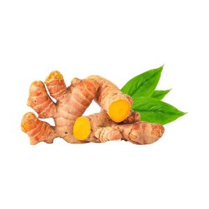 Whole Ginger (Spice / Raw Ginger Rhizome) - Image 3